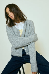 Birgita Strick - Graumeliert